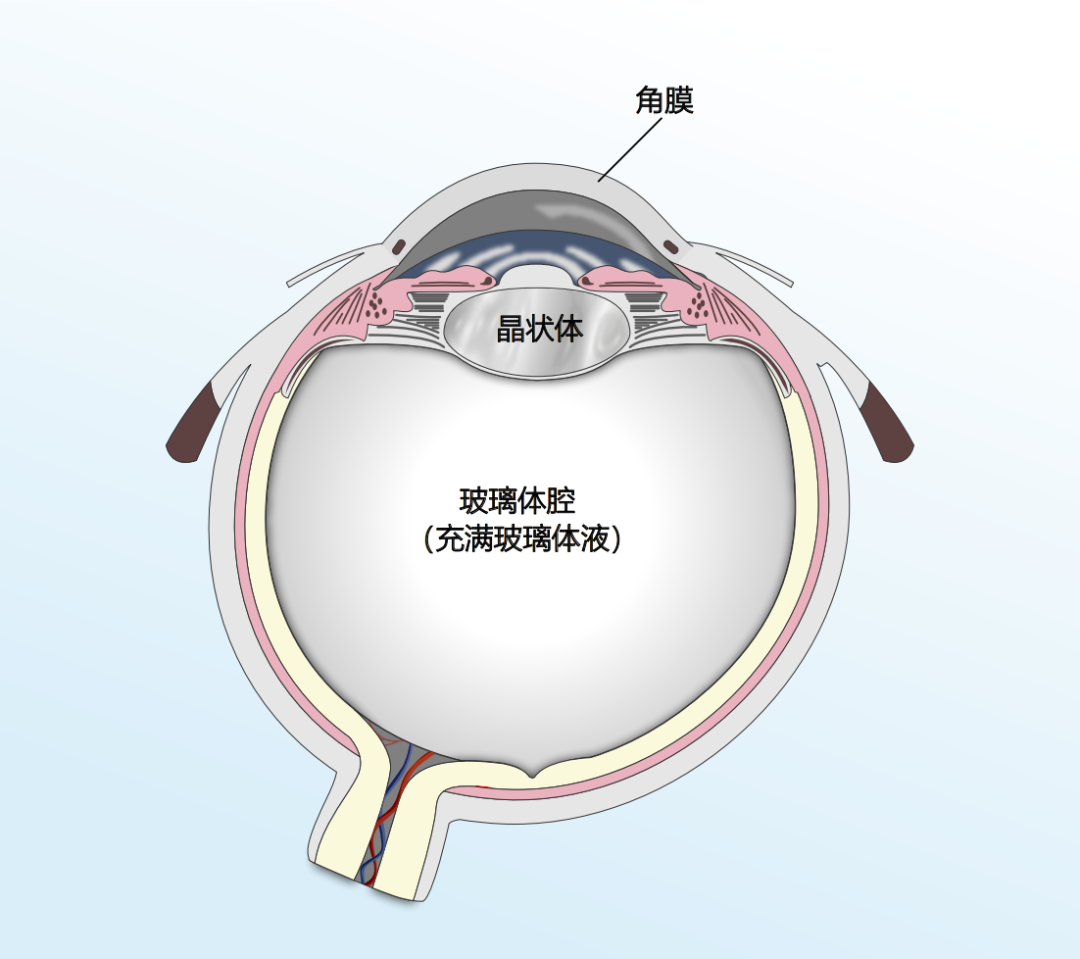 原来眼睛也可以“打针”注药！昆明普瑞眼科医院牛志强博士带您一文读懂眼底注药